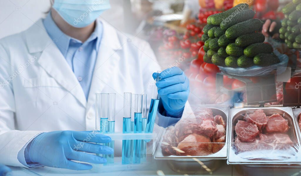 Nutrition educator studying for a certification exam